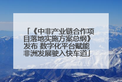 《中非产业链合作项目落地实施方案总纲》发布 数字化平台赋能非洲发展驶入快车道