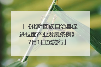 《化隆回族自治县促进拉面产业发展条例》7月1日起施行