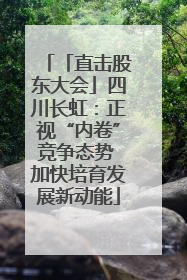 「直击股东大会」四川长虹：正视“内卷”竞争态势 加快培育发展新动能