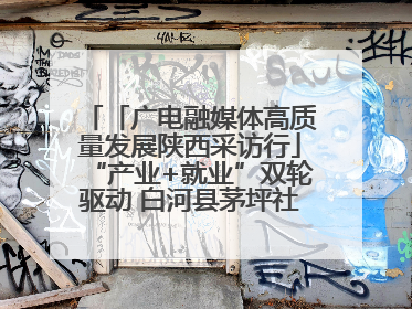「广电融媒体高质量发展陕西采访行」“产业+就业”双轮驱动 白河县茅坪社区打造易地搬迁后扶新样本