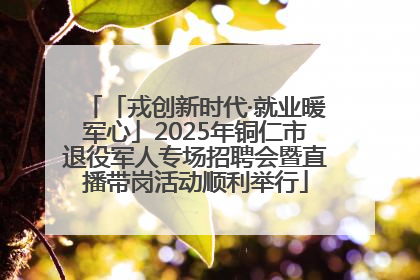 「戎创新时代·就业暖军心」2025年铜仁市退役军人专场招聘会暨直播带岗活动顺利举行