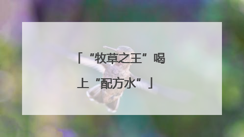 “牧草之王”喝上“配方水”