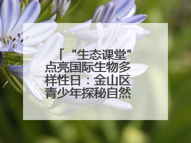 “生态课堂”点亮国际生物多样性日：金山区青少年探秘自然共筑生命家园