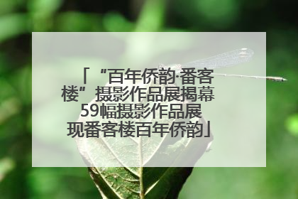 “百年侨韵·番客楼”摄影作品展揭幕 59幅摄影作品展现番客楼百年侨韵