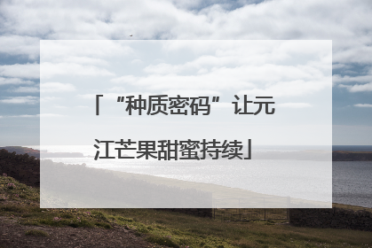 “种质密码”让元江芒果甜蜜持续