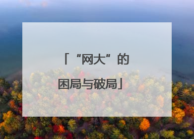 “网大”的困局与破局