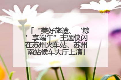 “美好旅途、‘粽’享端午”主题快闪在苏州火车站、苏州南站候车大厅上演