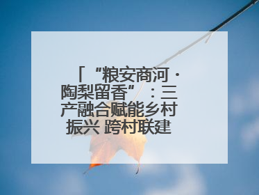 “粮安商河・陶梨留香”：三产融合赋能乡村振兴 跨村联建绘就共富画卷