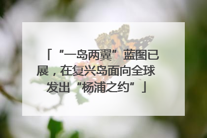 “一岛两翼”蓝图已展，在复兴岛面向全球发出“杨浦之约”