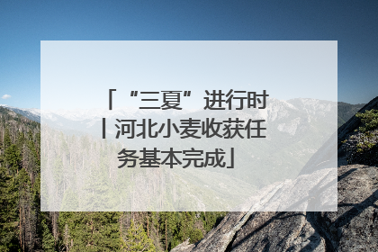 “三夏”进行时丨河北小麦收获任务基本完成
