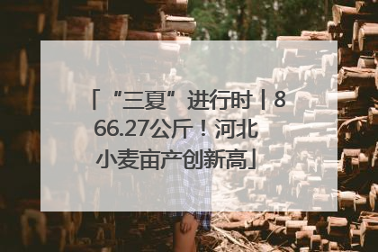 “三夏”进行时丨866.27公斤！河北小麦亩产创新高