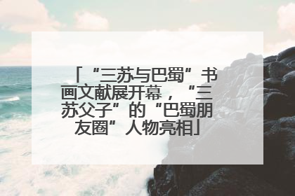 “三苏与巴蜀”书画文献展开幕，“三苏父子”的“巴蜀朋友圈”人物亮相