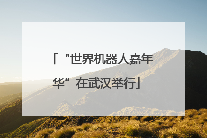 “世界机器人嘉年华”在武汉举行