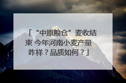 “中原粮仓”麦收结束 今年河南小麦产量咋样？品质如何？