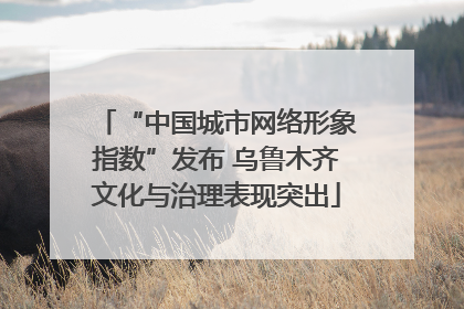 “中国城市网络形象指数”发布 乌鲁木齐文化与治理表现突出