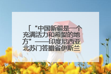 “中国新疆是一个充满活力和希望的地方”——印度尼西亚北苏门答腊省伊斯兰教代表团参访新疆