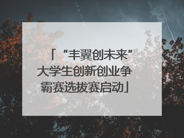 “丰翼创未来”大学生创新创业争霸赛选拔赛启动