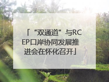 “双通道”与RCEP口岸协同发展推进会在怀化召开