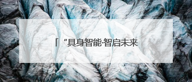 “具身智能·智启未来”会议成功举办 助力具身智能产业健康发展
