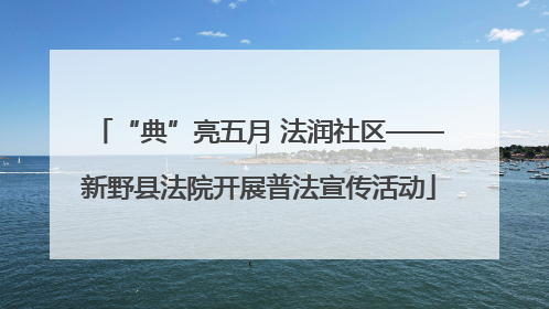 “典”亮五月 法润社区——新野县法院开展普法宣传活动