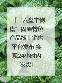 “六盘丰物集”固原特色产品线上销售平台发布 实现24小时内发货