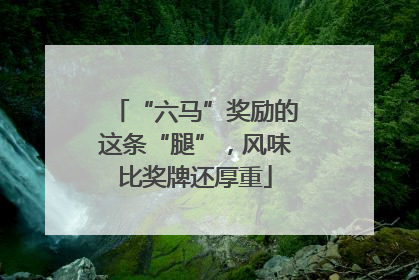 “六马”奖励的这条“腿”，风味比奖牌还厚重