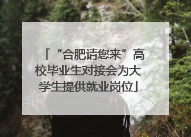 “合肥请您来”高校毕业生对接会为大学生提供就业岗位
