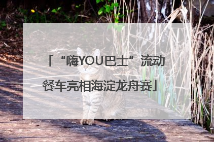“嗨YOU巴士”流动餐车亮相海淀龙舟赛
