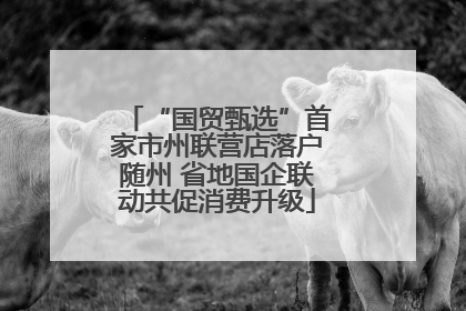 “国贸甄选”首家市州联营店落户随州 省地国企联动共促消费升级