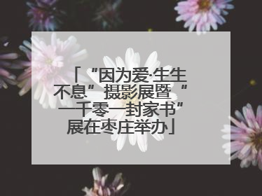 “因为爱·生生不息”摄影展暨“一千零一封家书”展在枣庄举办