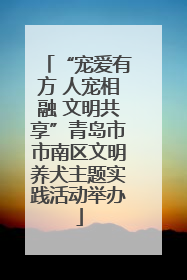 “宠爱有方 人宠相融 文明共享”青岛市市南区文明养犬主题实践活动举办