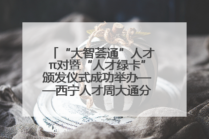 “大智荟通”人才π对暨“人才绿卡”颁发仪式成功举办——西宁人才周大通分会场亮点纷呈