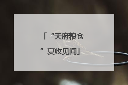 “天府粮仓”夏收见闻