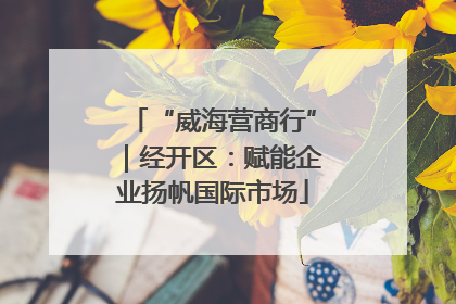 “威海营商行”｜经开区：赋能企业扬帆国际市场