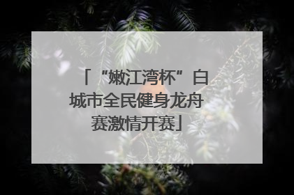 “嫩江湾杯”白城市全民健身龙舟赛激情开赛