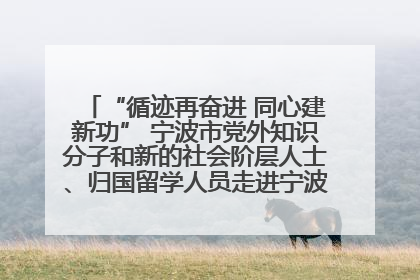 “循迹再奋进 同心建新功” 宁波市党外知识分子和新的社会阶层人士、归国留学人员走进宁波舟山港穿山港区