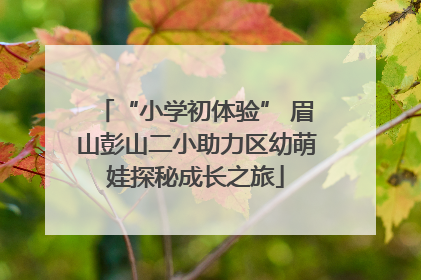 “小学初体验” 眉山彭山二小助力区幼萌娃探秘成长之旅