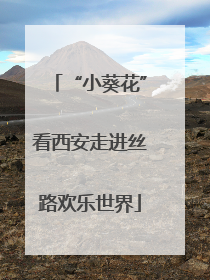 “小葵花”看西安走进丝路欢乐世界