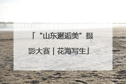 “山东邂逅美”摄影大赛｜花海写生