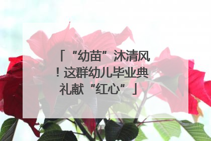 “幼苗”沐清风！这群幼儿毕业典礼献“红心”
