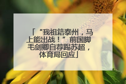 “我祖籍泰州，马上能出战！”前国脚毛剑卿自荐踢苏超，体育局回应