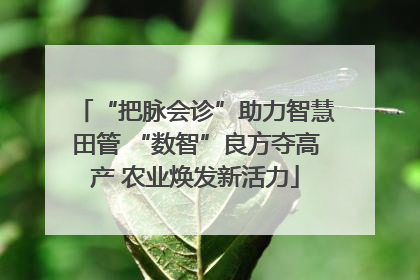 “把脉会诊”助力智慧田管 “数智”良方夺高产 农业焕发新活力