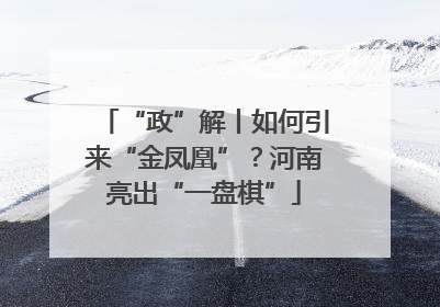 “政”解丨如何引来“金凤凰”？河南亮出“一盘棋”