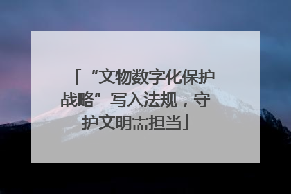 “文物数字化保护战略”写入法规，守护文明需担当