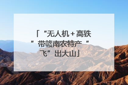 “无人机＋高铁”带赣南农特产“飞”出大山