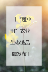 “楚小田”农业生态链品牌发布