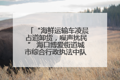 “海鲜运输车凌晨占道卸货，噪声扰民” 海口博爱街道城市综合行政执法中队：将联合交警加强长堤路一带巡逻