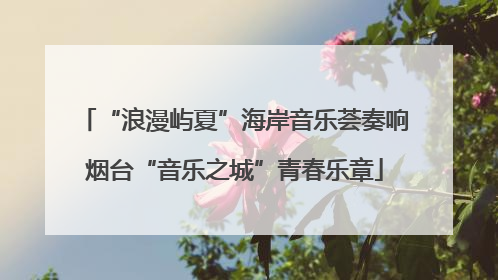 “浪漫屿夏”海岸音乐荟奏响烟台“音乐之城”青春乐章