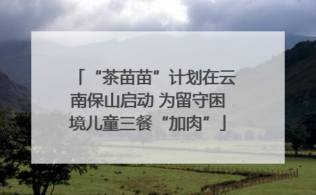 “茶苗苗”计划在云南保山启动 为留守困境儿童三餐“加肉”