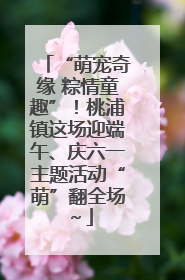 “萌宠奇缘 粽情童趣”！桃浦镇这场迎端午、庆六一主题活动“萌”翻全场～